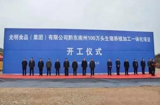 益生、溫氏、光明等斥資50億密集投資生豬項目