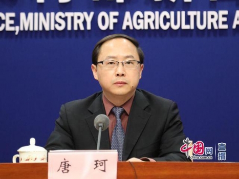 農業農村部：2020年我國生豬產能有望逐步恢復