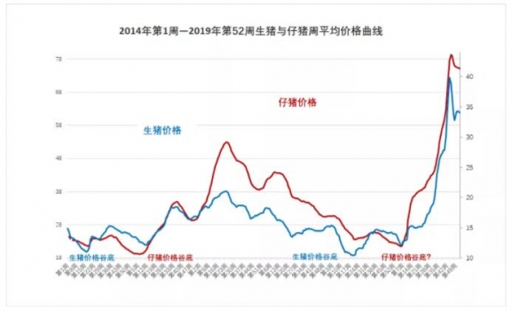 大數據：2019年養豬行情回顧及2020年豬行大趨勢（利潤比2019年更好）