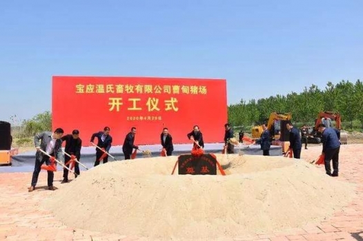 牧原4月銷售生豬124萬頭，超溫氏近40萬頭！各大養殖集團企業投760億元布局生豬產業