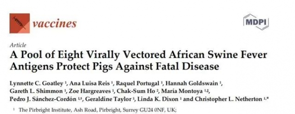 英國搞出非瘟疫苗！號稱100%有效？！