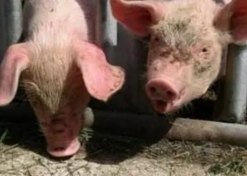 控制疾病風(fēng)險，AI讓疾病診斷擁有更好的判斷力！