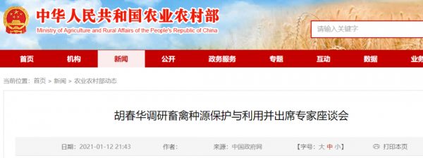 農(nóng)業(yè)農(nóng)村部：種豬和仔豬調(diào)運(yùn)，符合條件，不得層層加碼禁運(yùn)限運(yùn)！打好種業(yè)翻身仗！