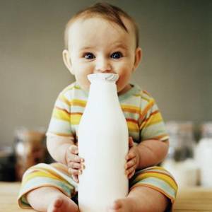 羊奶有營養但不適合作為嬰兒主食