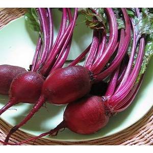 美農業部澄清法院判決銷毀轉基因抗草甘磷甜菜