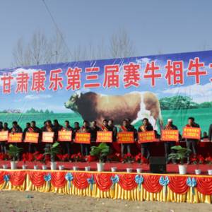 康樂舉辦第三屆賽牛相牛大會