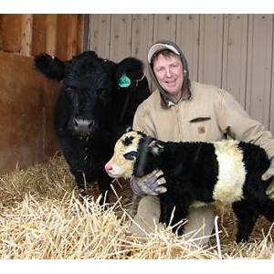 美國育出“熊貓?！遍L黑眼圈