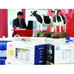 專家稱我國兩年后有望生產(chǎn)接近人乳牛奶