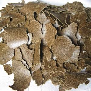 棉餅和菜籽餅的營養特點