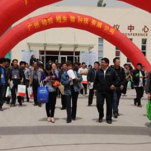 河北省第四批種豬生產性能測定及第四屆種豬拍賣會圓滿結束