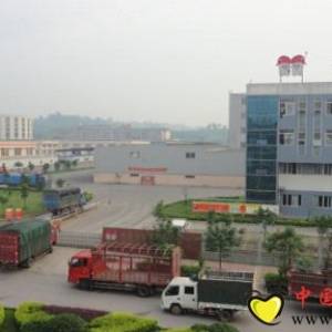 雙胞胎集團堅持科學發展躋身中國畜牧業四強