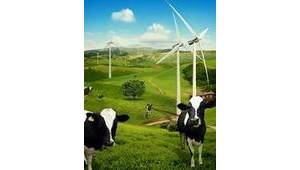 眉山：彭山強化飼料監管 確保畜產品質量安全