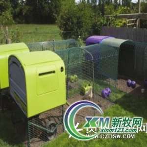 英國(guó)母雞旅館享受“五星級(jí)”服務(wù)