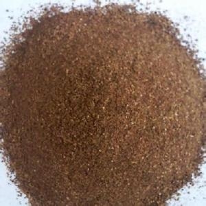 探討飼喂酒糟蛋白飼料對豬群健康和生產(chǎn)性能的重要性