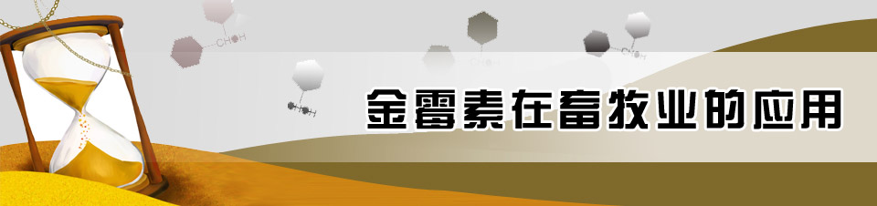 金霉素在畜牧業的應用