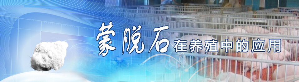 蒙脫石在養殖中的應用