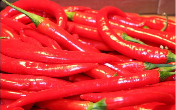 辣椒粕作為飼料的營養價值