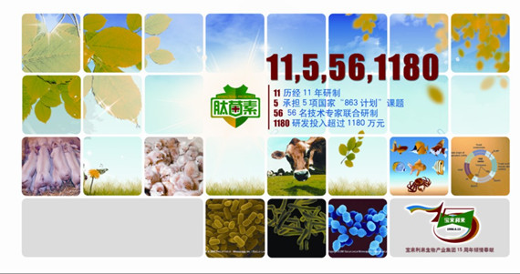 寶來利來飼用微生態專題