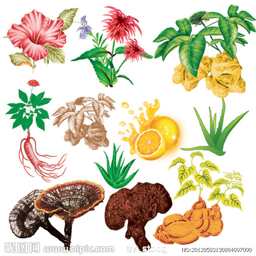 能夠保護環境的7種飼料添加劑