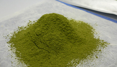 綠茶粉末添加在豬飼料中更營養(yǎng)