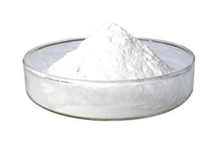 亮氨酸的代謝及營(yíng)養(yǎng)生理作用研究進(jìn)展