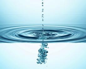 水對豬的重要性