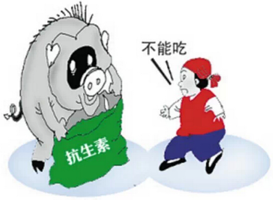 譙仕彥：抗生素禁入飼料很迫切