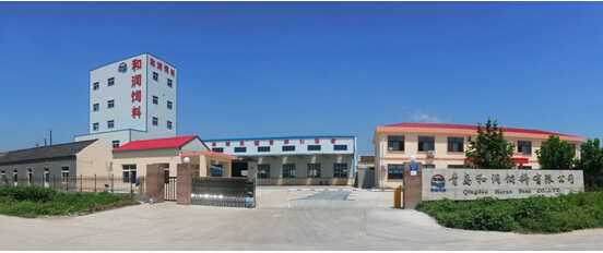 新時代下如何做好飼料企業(yè)？