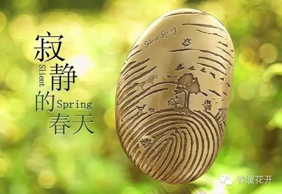 陳春花致敬柴靜：人的高度由雙手決定