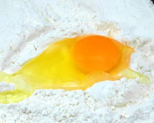 乳清蛋白濃縮物成本高昂 是否有替代品？