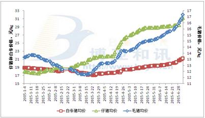 東北豬價震蕩調整，南方開啟上漲模式