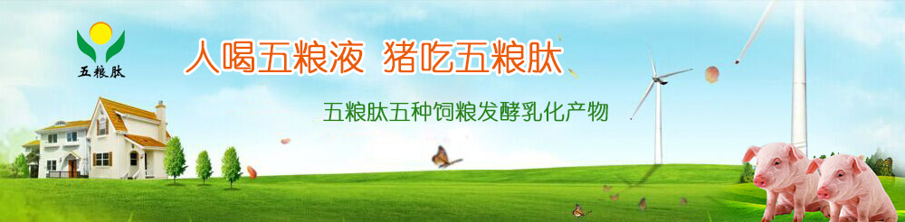 五糧肽---五種飼糧發酵物的產物