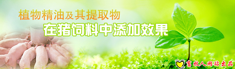 植物精油及其提取物在豬飼料中添加效果