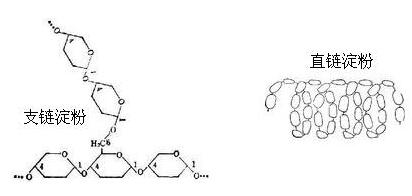 直鏈支鏈淀粉比、膨化、儲存時間和酶制劑對斷奶仔豬玉米淀粉體內、體外消化率的影響