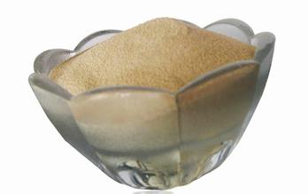 木聚糖酶對飼喂黑麥和小麥日糧生長豬回腸食糜粘度、纖維、營養物質消化率的影響