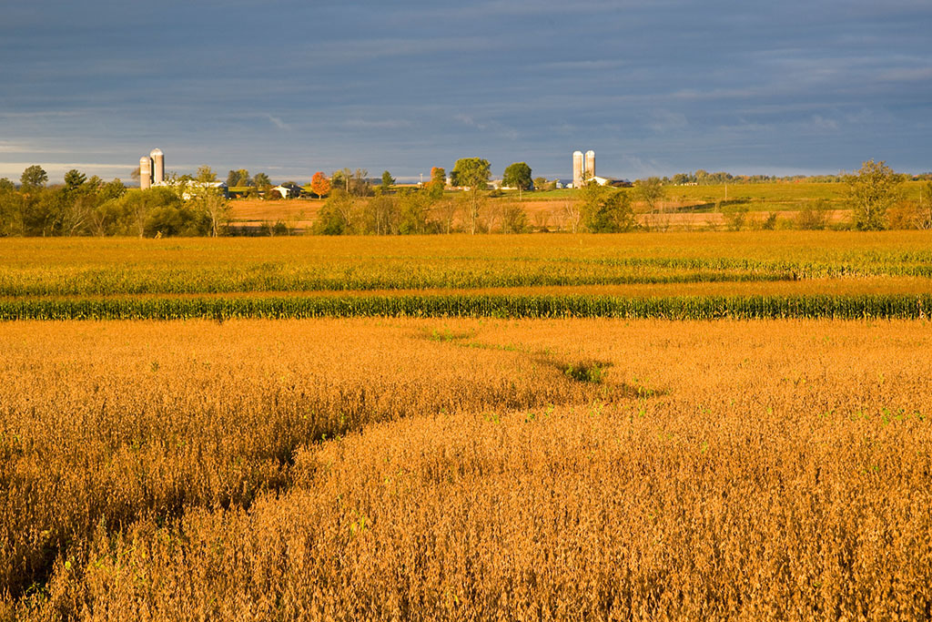 豆粕 區間波動為主
