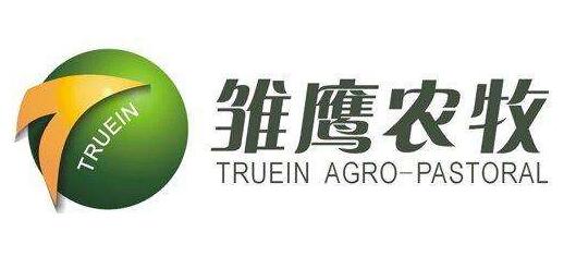 驚呆了！雛鷹在雄縣有233畝地規(guī)劃