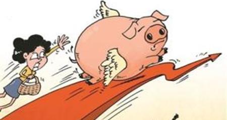 后市還有戲？肥豬能不能壓欄等高價？