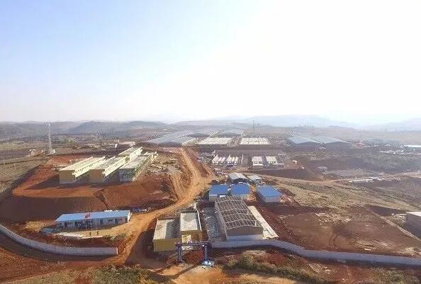 溫氏集團布局：82億元的養豬擴張和3億元的肉雞項目啟動