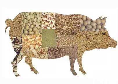 牧原、雛鷹、龍大、金新農.....2018年第一季度業績預報密集出爐