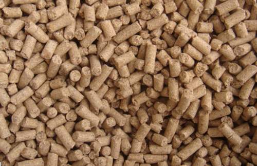 生物飼料在養殖生產中的應用