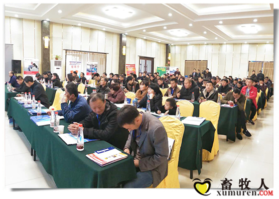 環山集團飼料事業部-魯南戰區首屆生豬精準