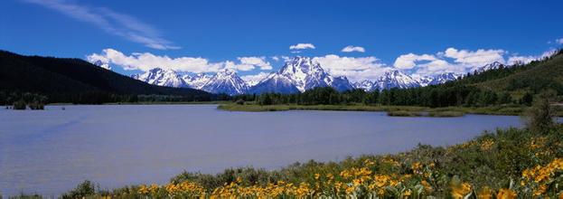 2016年6月20日國內玉米深加工企業即時報價