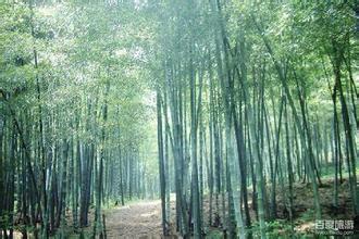 國(guó)內(nèi)維生素D3報(bào)價(jià)一月飆漲三倍