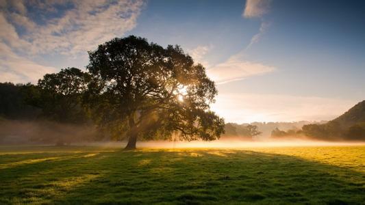 疫病恐將逆轉生豬行情