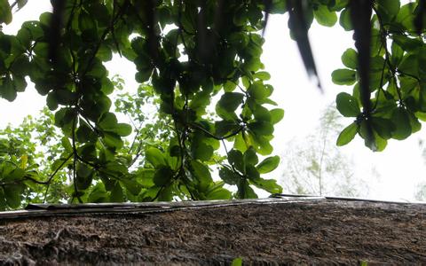 1月15日國內部分地區豆粕成交價格