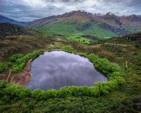 豬油質量的判定