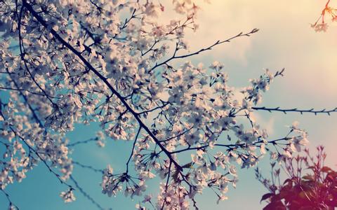 5月9日國內(nèi)維生素A：行情平穩(wěn)