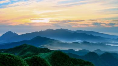 新蛋白飼料原料的甄別