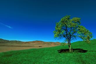 2016年四川農(nóng)業(yè)大學(xué)動物營養(yǎng)研究所 動物營養(yǎng)與飼料科學(xué)學(xué)科傳承發(fā)展與技術(shù)創(chuàng)新學(xué)術(shù)研討 ...